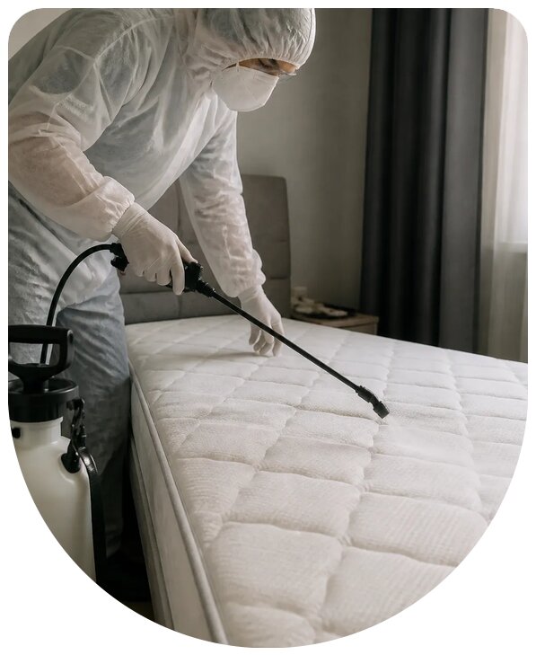 Профессиональная обработка матраса от клопов в Кингисеппе